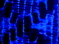 animated still