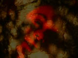 still from a short walk