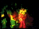 animated sequence