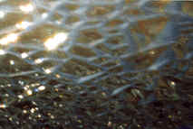glass