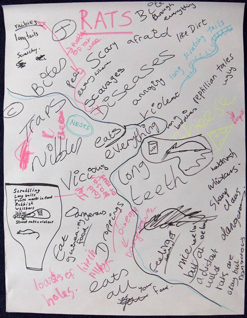 rat_flipchart