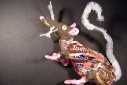rubbish Rat